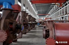 常州艺辰大数据处理有限公司被评为2019年度三水区骨干企业